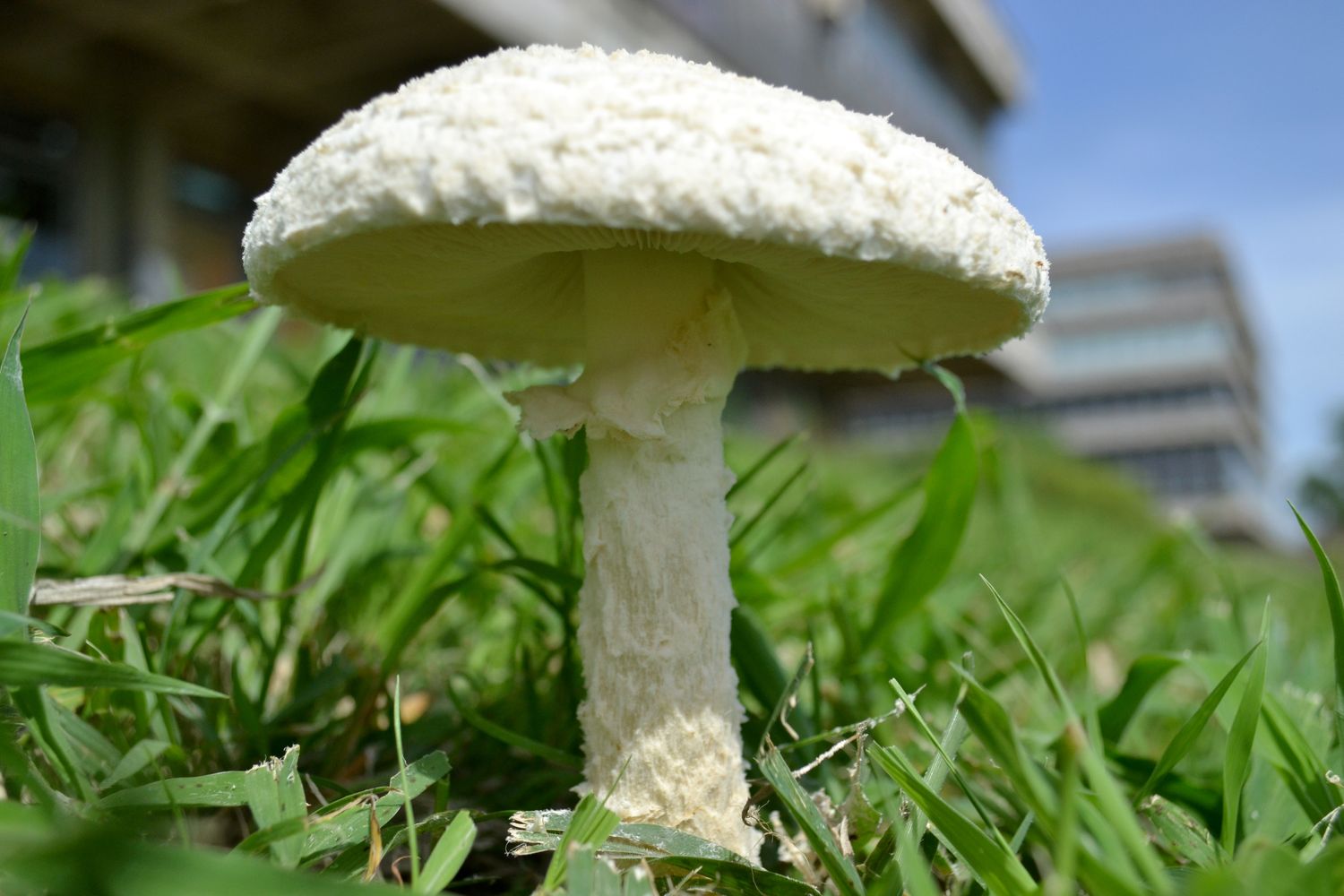 dsc 6888