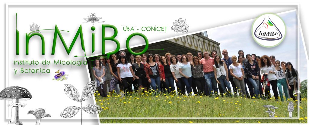 foto grupal